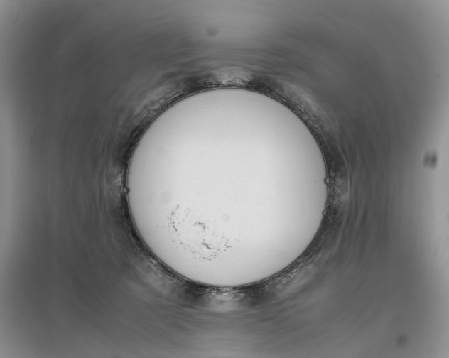 X0000097300321200802291819