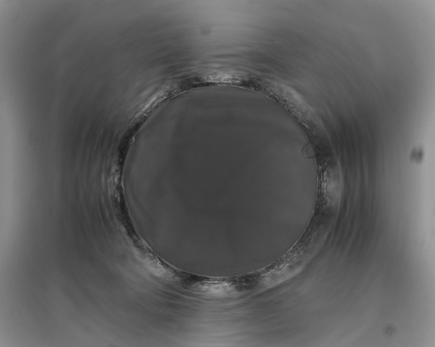 X0000097300322200802291819