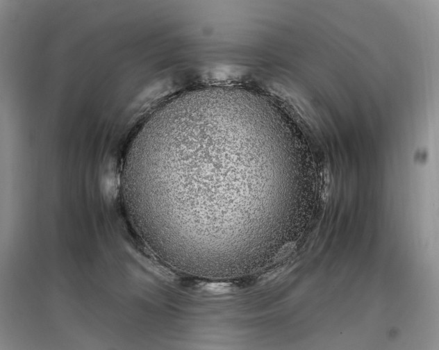 X0000097300324200802291819