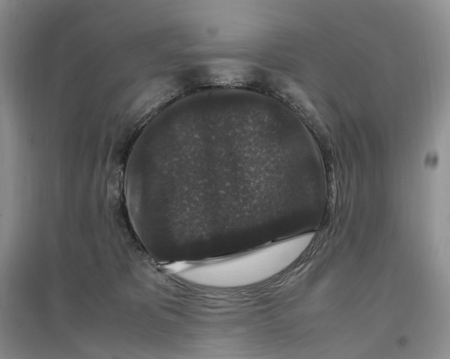 X0000097300325200802291819