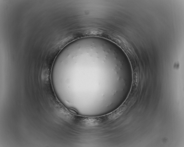 X0000097300326200802291819