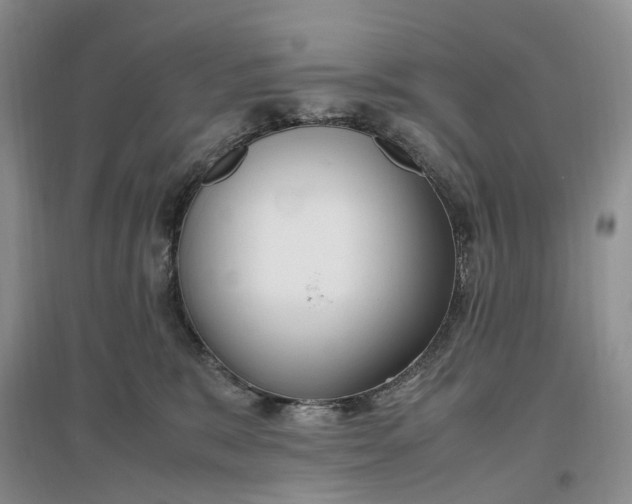 X0000097300327200802291819