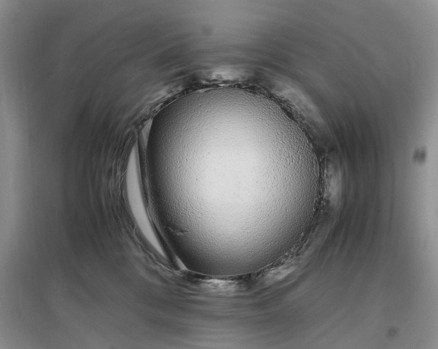 X0000097300328200802291819