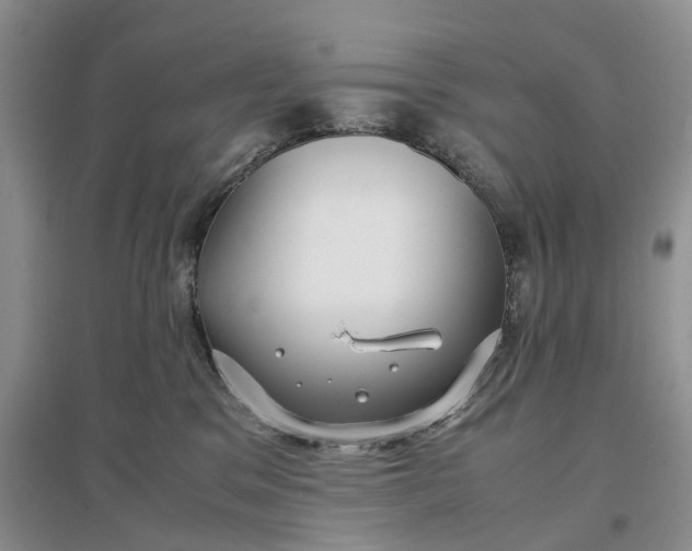 X0000097300329200802291819