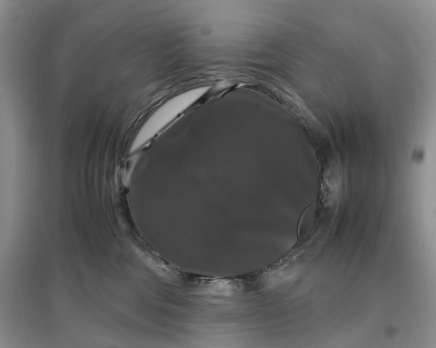 X0000097300330200802291819