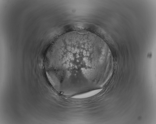 X0000097300331200802291819