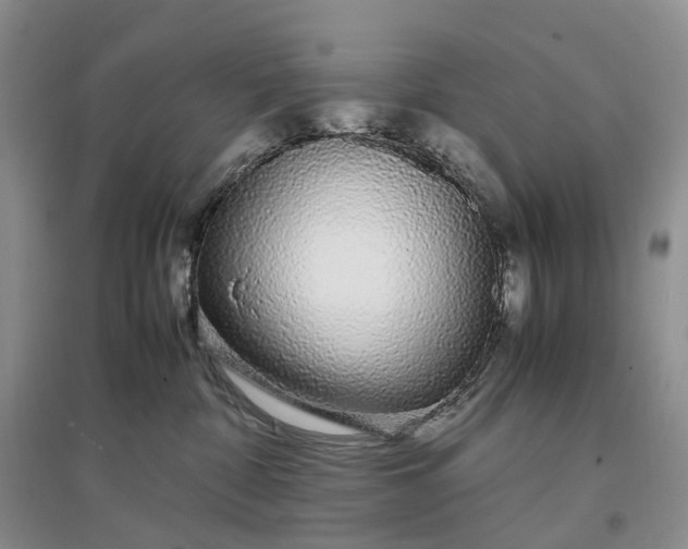 X0000097300332200802291819