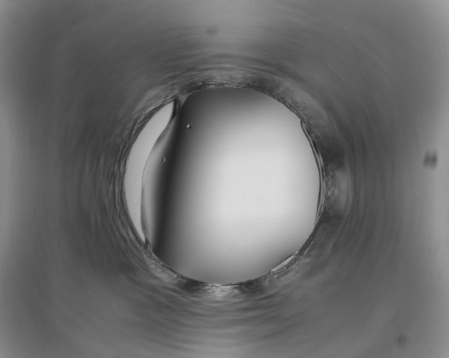 X0000097300333200802291819