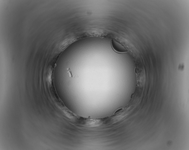 X0000097300334200802291819