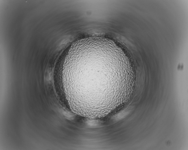 X0000097300336200802291819