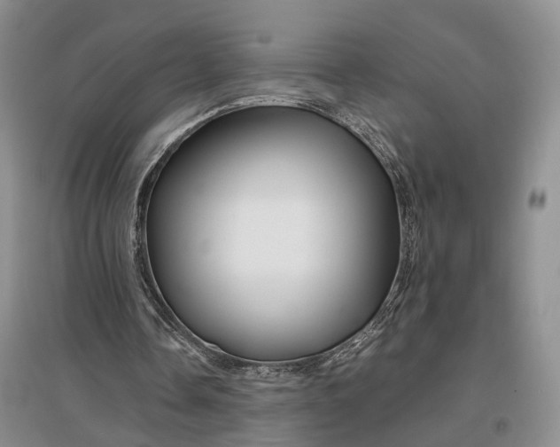 X0000097300338200802291818