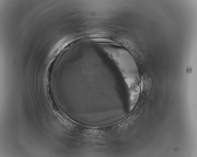 X0000097300339200802291818