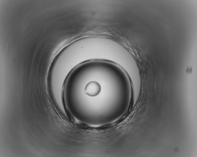 X0000097300340200802291818