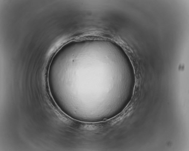 X0000097300341200802291818