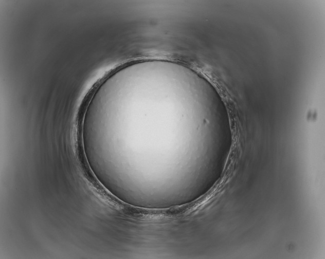 X0000097300342200802291818