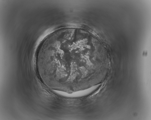 X0000097300343200802291818