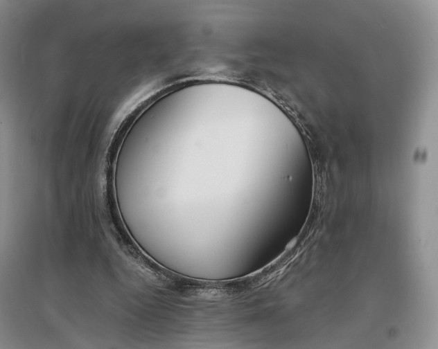 X0000097300344200802291818