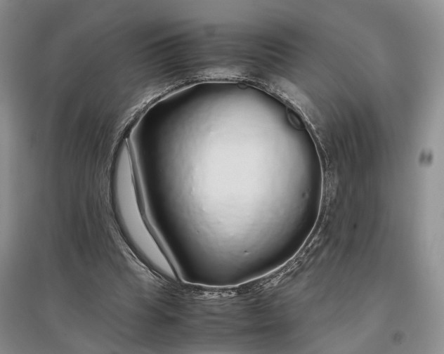 X0000097300345200802291818