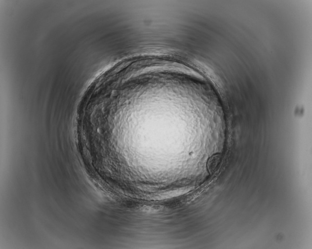 X0000097300346200802291818