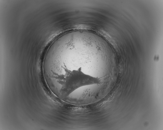 X0000097300347200802291818