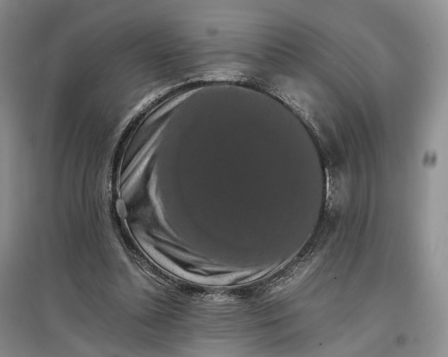 X0000097300348200802291818