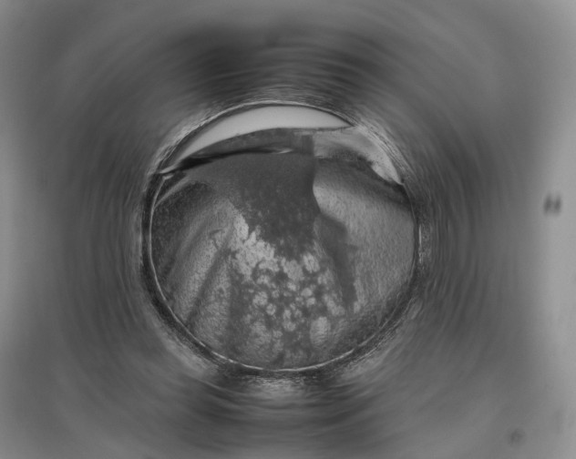 X0000097300349200802291818