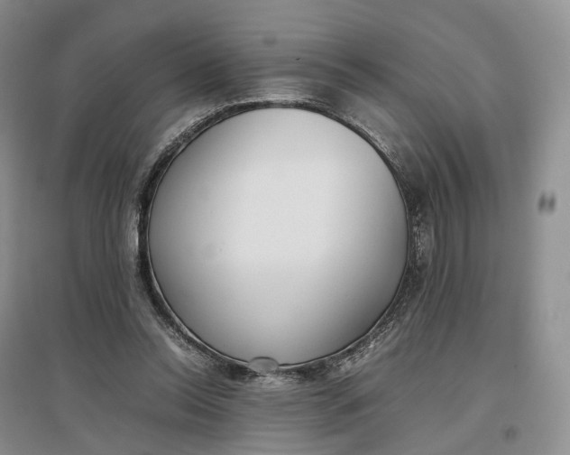 X0000097300350200802291818