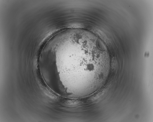 X0000097300351200802291818