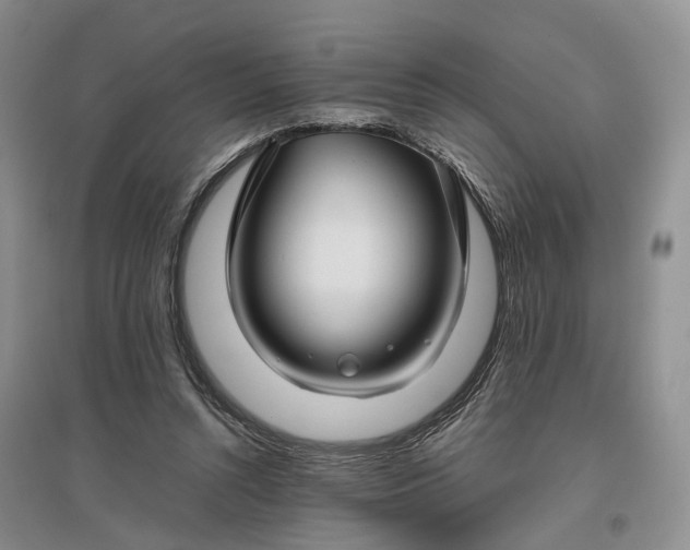 X0000097300352200802291818