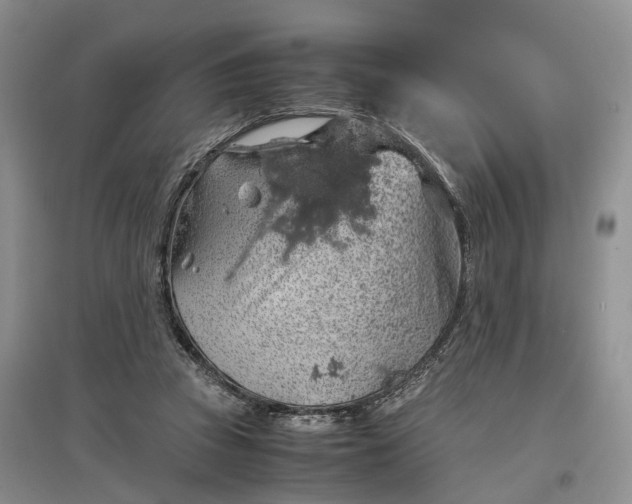 X0000097300353200802291818