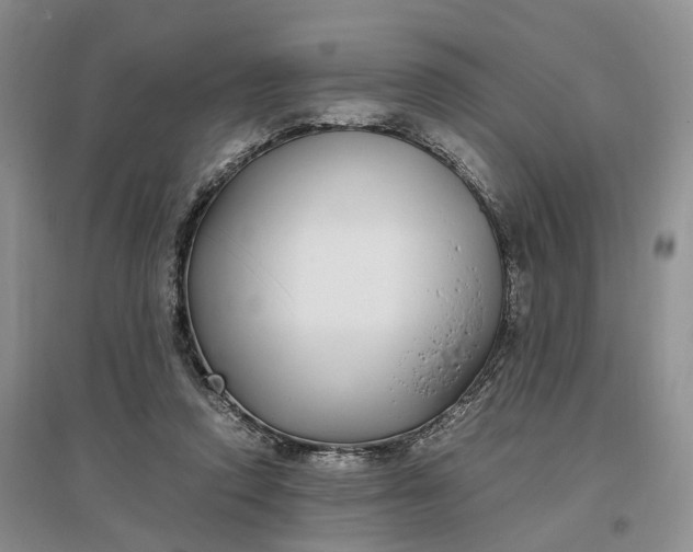 X0000097300354200802291818