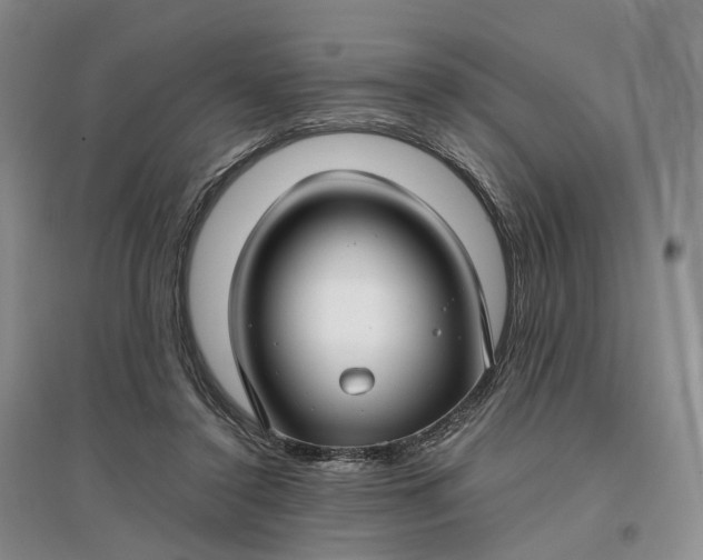 X0000097300356200802291818