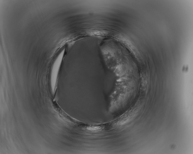 X0000097300357200802291818