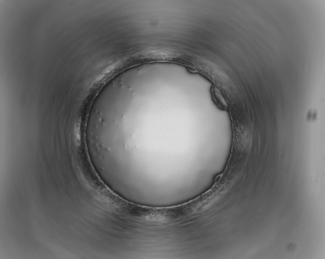 X0000097300358200802291818