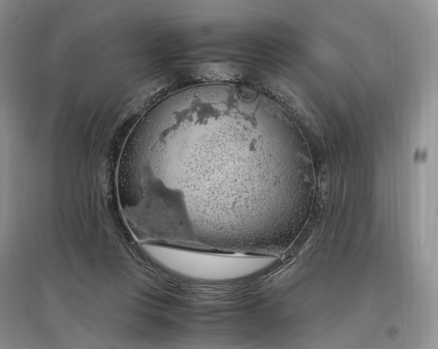 X0000097300359200802291818