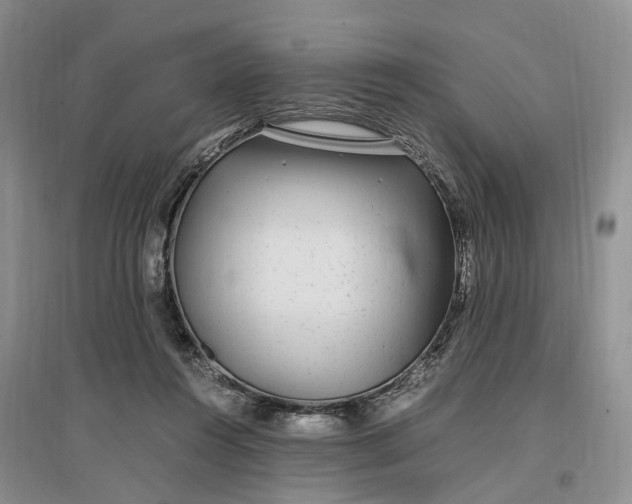 X0000097300360200802291818