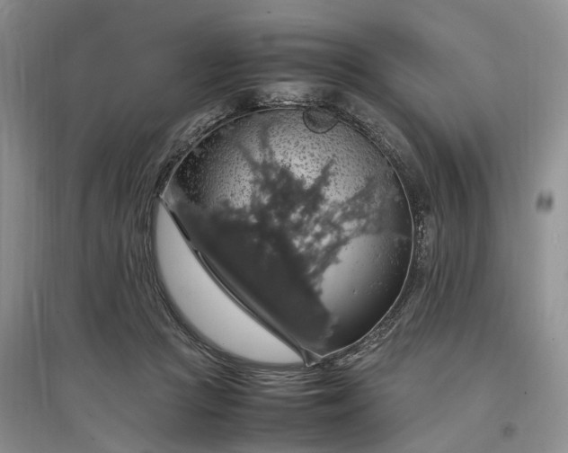 X0000097300361200802291818