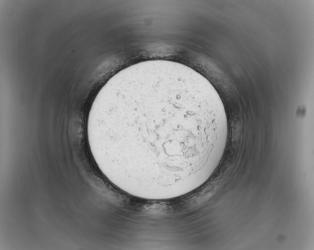 X0000097300362200802291818