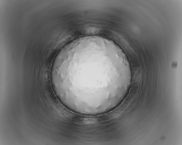 X0000097300363200802291818