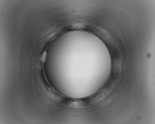 X0000097300364200802291818