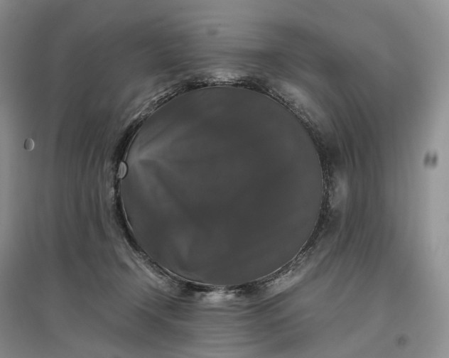 X0000097300366200802291818