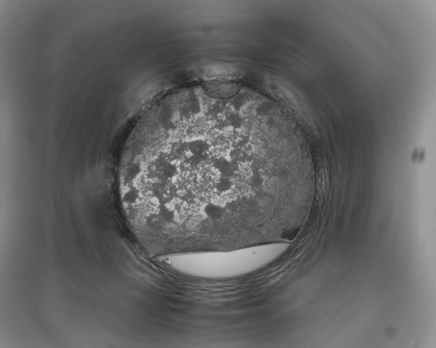 X0000097300367200802291818