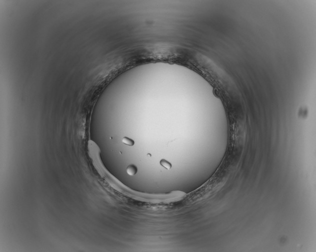 X0000097300368200802291818