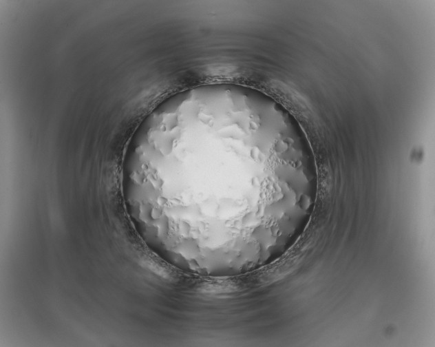 X0000097300369200802291818