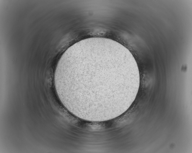 X0000097300370200802291818