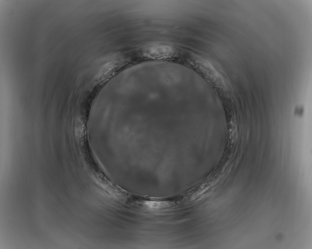 X0000097300371200802291818