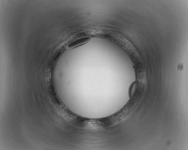 X0000097300372200802291819