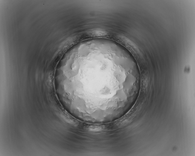 X0000097300373200802291819