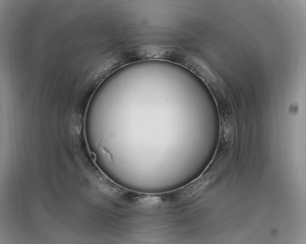 X0000097300374200802291819