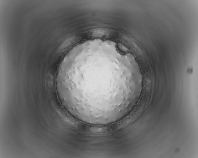 X0000097300375200802291819